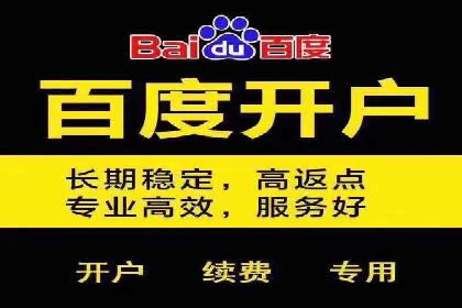 案例研究：SEM推广助力企业业绩增长